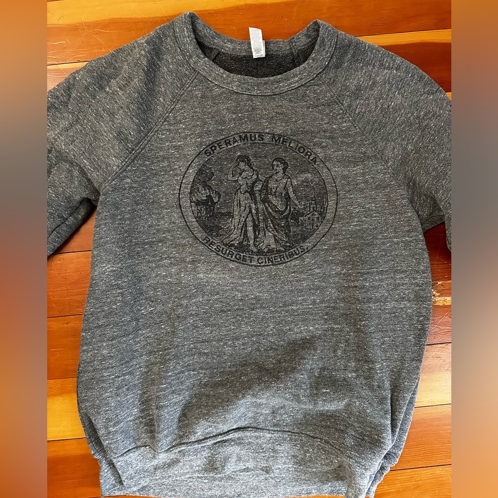 Detroit Motto Super soft sweatshirt - S